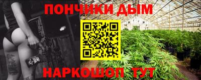 спиды Дубна
