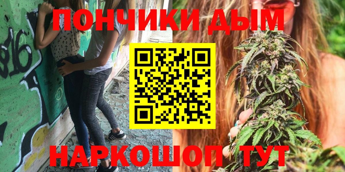 Шишки марихуана марихуана Новороссийск